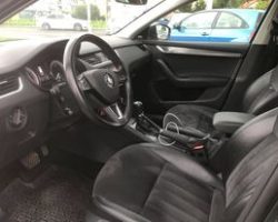 242480911_905094823454571_2356577517060893670_n