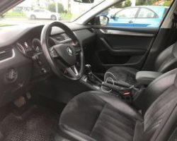 243100125_226263386187144_3557754238476033877_n