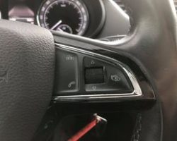 243801037_912955809618150_2749353800845102217_n