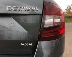 243903568_284248316620016_3129716902929323353_n