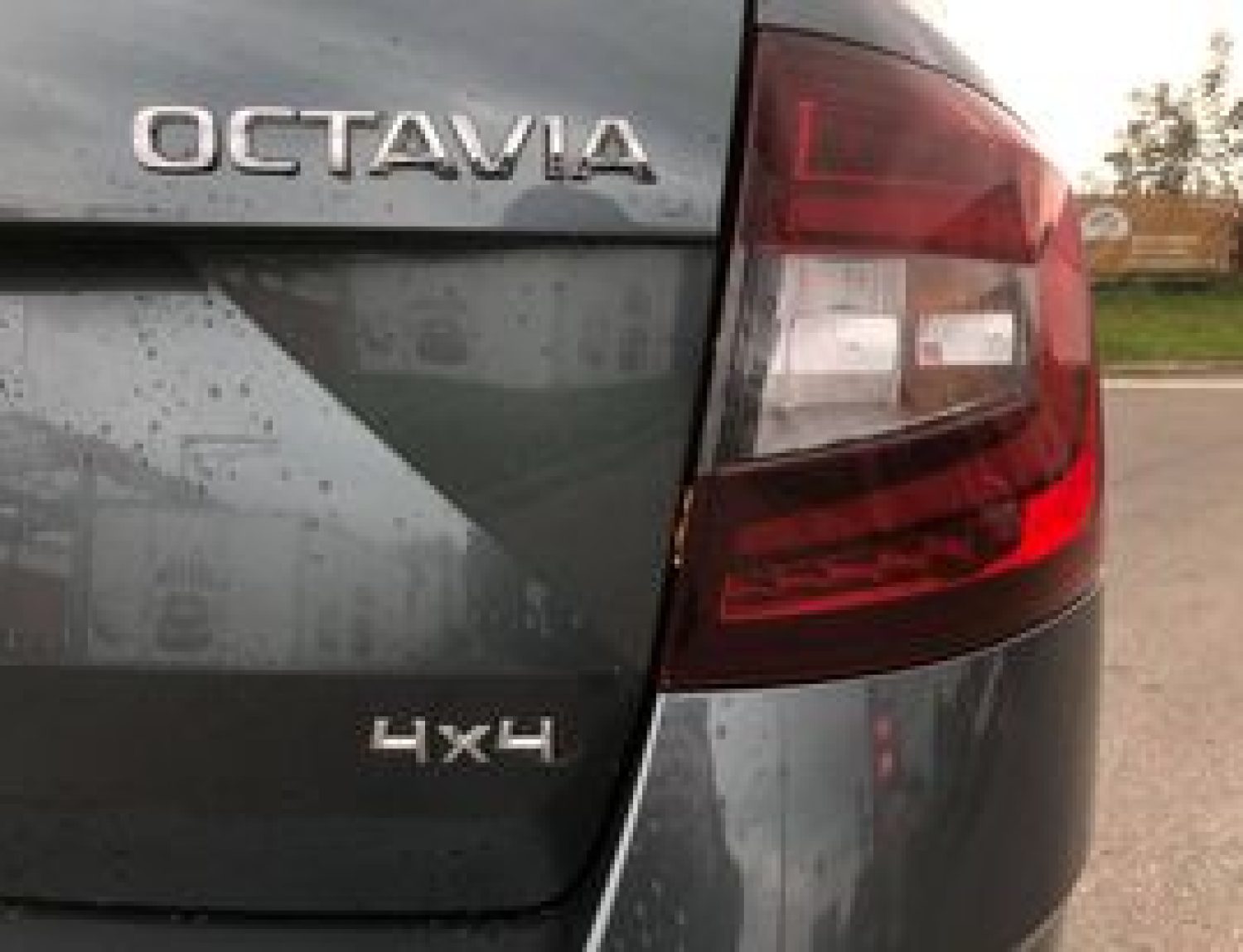 243903568_284248316620016_3129716902929323353_n